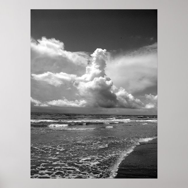 Cloud over Palm Beach Poster (Vorne)