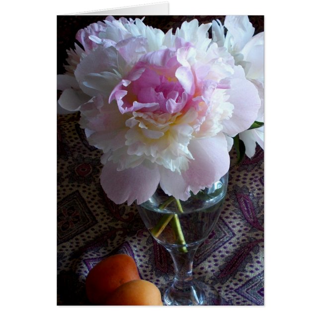 Cloud Pink Peony (Vorne)
