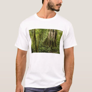 Cloud-Wald, Bosque de Paz, Costa Rica T-Shirt