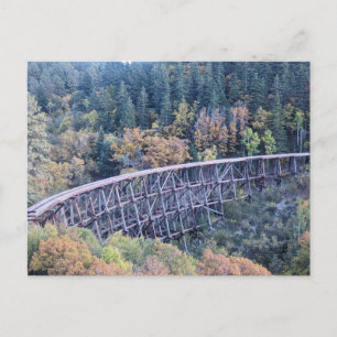 Cloudcroft New Mexico Forstbrücke Postkarte