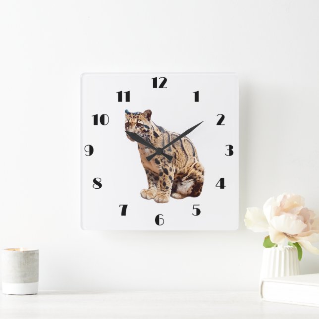 clouded leopard photograph jungle big cat animal   quadratische wanduhr (Zuhause)
