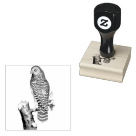 Clouded Owl on Branch Vintag Illustration Gummistempel