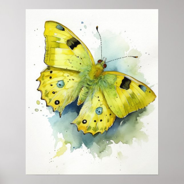 Cloudless Sulfur Butterfly Art Print Poster (Vorne)