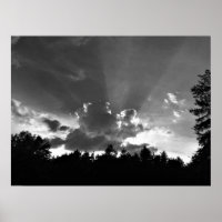 Cloudscape/Noir,