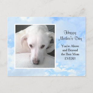 Cloudy Blue Sky Best Hund Mama je Foto Postkarte