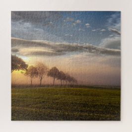 Cloudy Fields