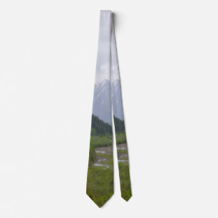 Cloudy in Denali Neck Tie Krawatte