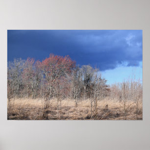 Cloudy Landscape Poster