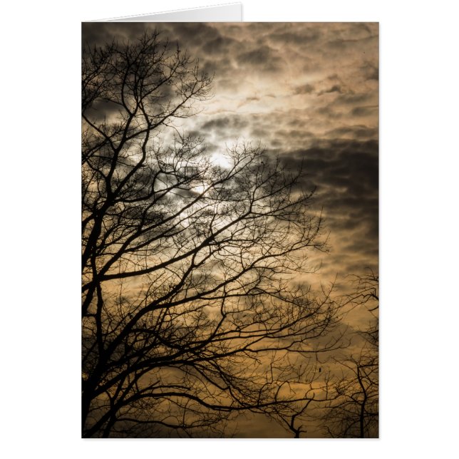 Cloudy Sun Scene (Vorne)