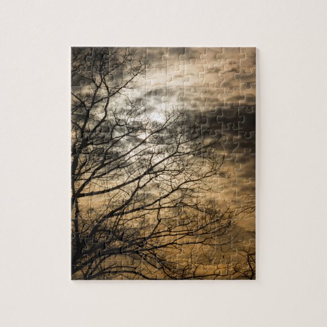 Cloudy Sun Scene (Vertikal)