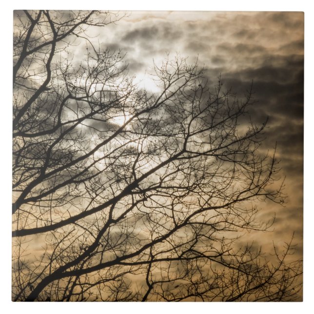 Cloudy Sun Scene Fliese (Vorderseite)
