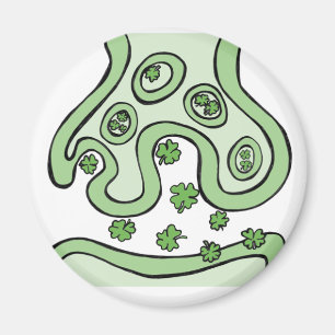 Clover Neurotransmitter Magnet