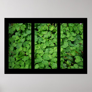 Cloverleaf Triptych Poster