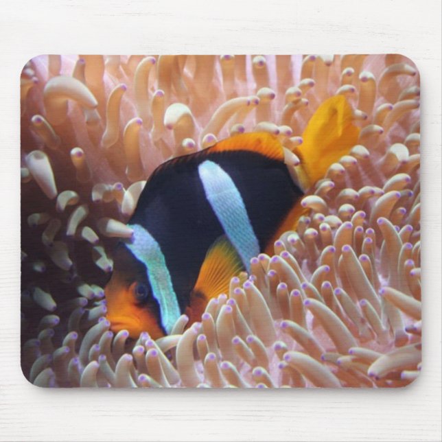 Clown-Fische Mousepad (Vorne)