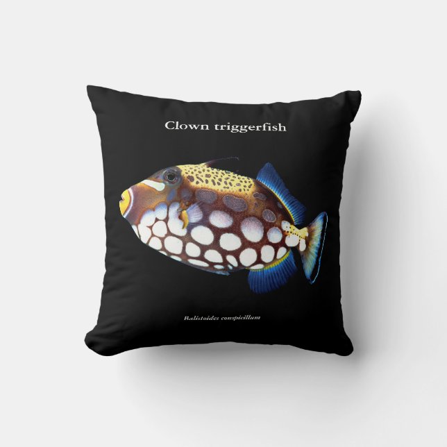 Clown triggerfish , Balistoides conspicillum Kissen (Vorderseite)