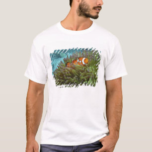 Clownfisch ( Amphiprion ocellaris ) T-Shirt
