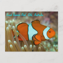 Clownfisch auf der Postkarte des Großen Barrier Re