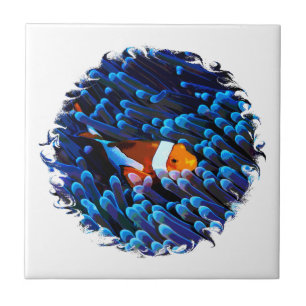Clownfisch Fliese