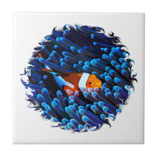 Clownfisch Fliese