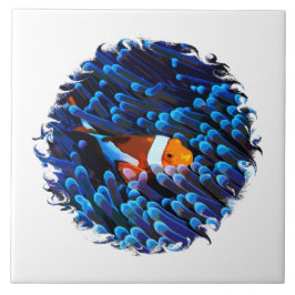 Clownfisch im Anemon Fliese