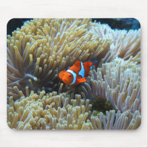 Clownfisch in einem Korallenriff Mousepad