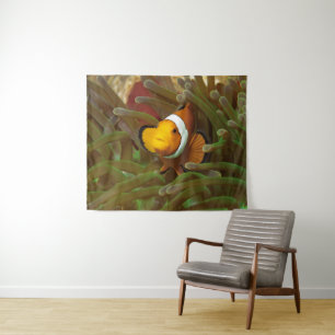Clownfisch in grüner Anemone. Korallenriff Raja Am Wandteppich