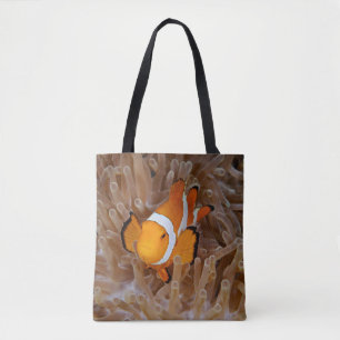 Clownfisch - Molokai, North Shore Cliff Tasche