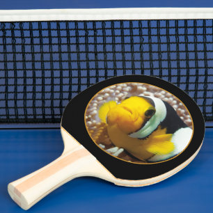 Clownfisch - Nahaufnahme! Runde fotografische Gest Tischtennis Schläger
