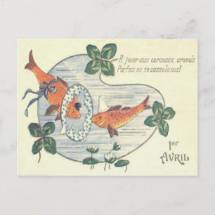 Clownfisch Seerose Postkarte