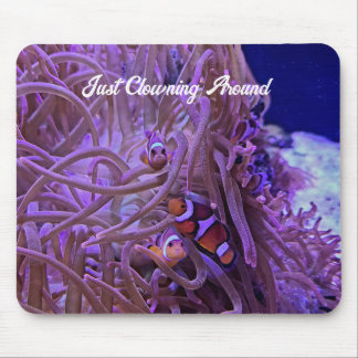Clownfisch und Anemone-Maus-Pad Mousepad