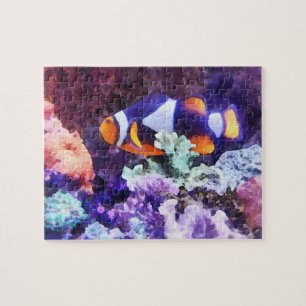 Clownfisch und Koralle