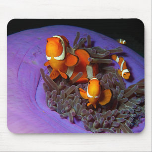 Clownfische sind immer in Bewegung Busy Anemonef Mousepad