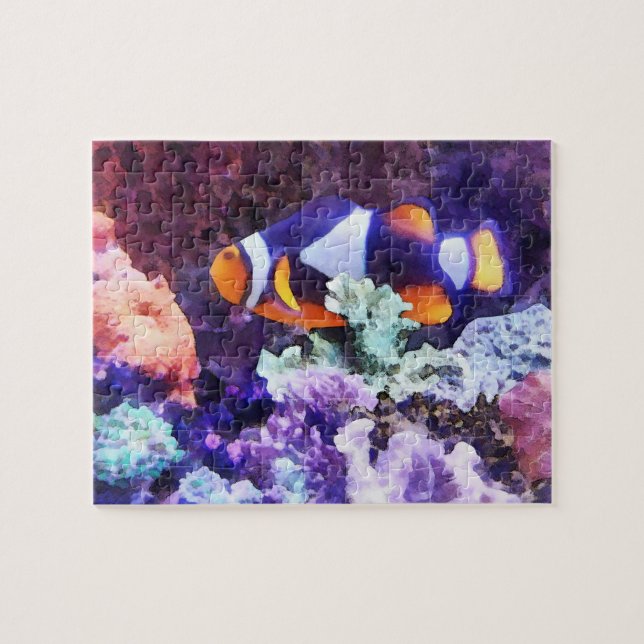 Clownfische und Korallen (Horizontal)