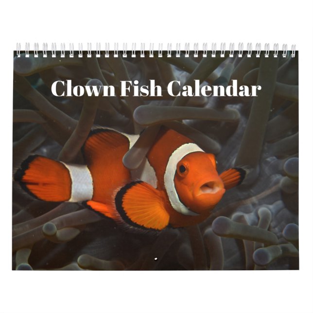 Clownfischkalender 2025 kalender (Titelbild)