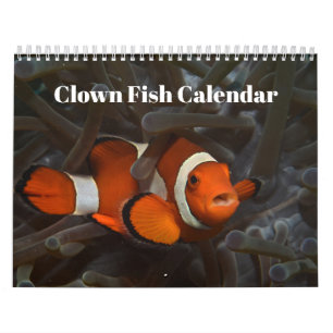 Clownfischkalender 2025 kalender