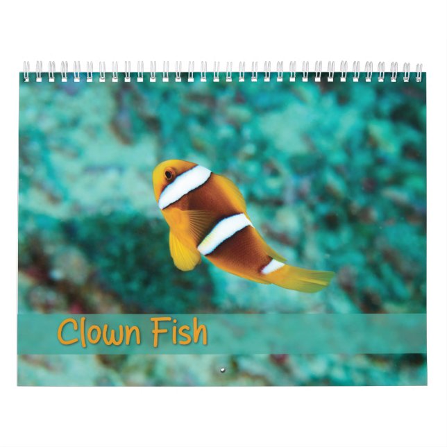 Clownfischkalender - Anemonenfisch Kalender (Titelbild)