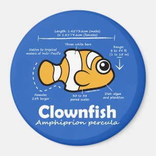 Clownfischstatistik Magnet