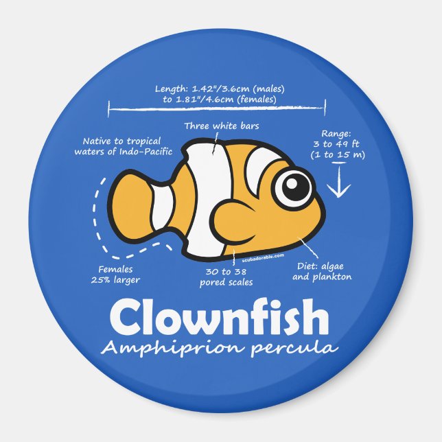 Clownfischstatistik Magnet (Vorne)
