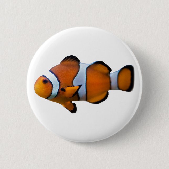 Clownfish Abzeichen Button (Vorderseite)