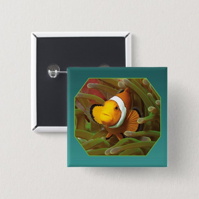 Clownfish in green anemone. Photographic Design |  Button (Vorne & Hinten)