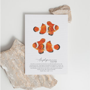 Clownfish Postkarte
