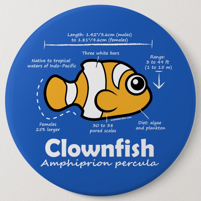 Clownfish Statistiken Button (Vorderseite)