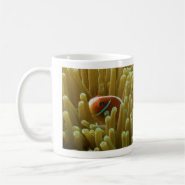 Clownfish sur la tasse de café de la Grande