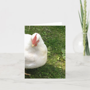 Cluck, Cluck, Here Karte