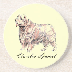 Clumber Spanel Sandstone Untersetzer