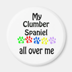 Clumber Spanel Walks Design Magnet