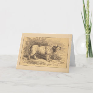 Clumber Spaniel-allgemeine Gruß-Karte Karte