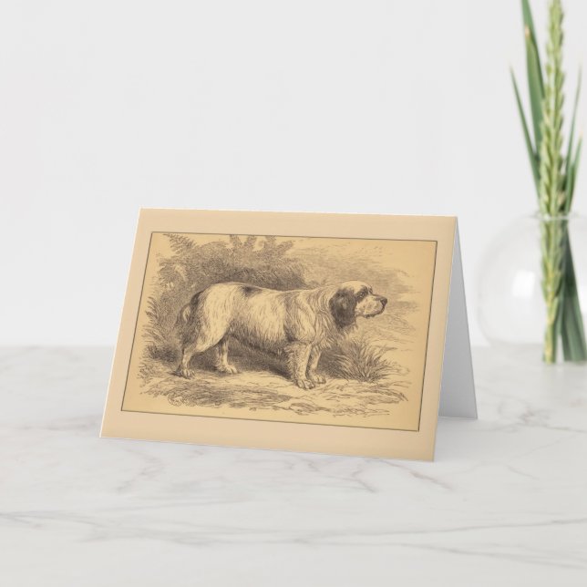 Clumber Spaniel-allgemeine Gruß-Karte Karte (Vorderseite)