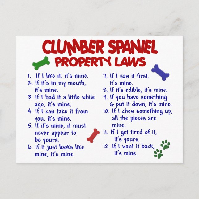 CLUMBER SPANIEL-Eigenschaftengesetze 2 Postkarte (Vorderseite)