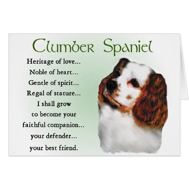 Clumber Spaniel Geschenke (Vorderseite (Horizontal))